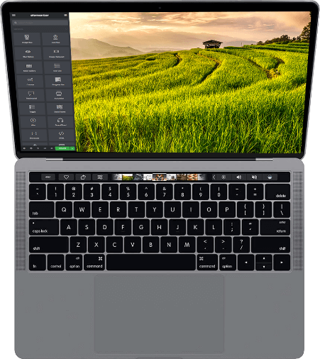 Flexible Theme Options